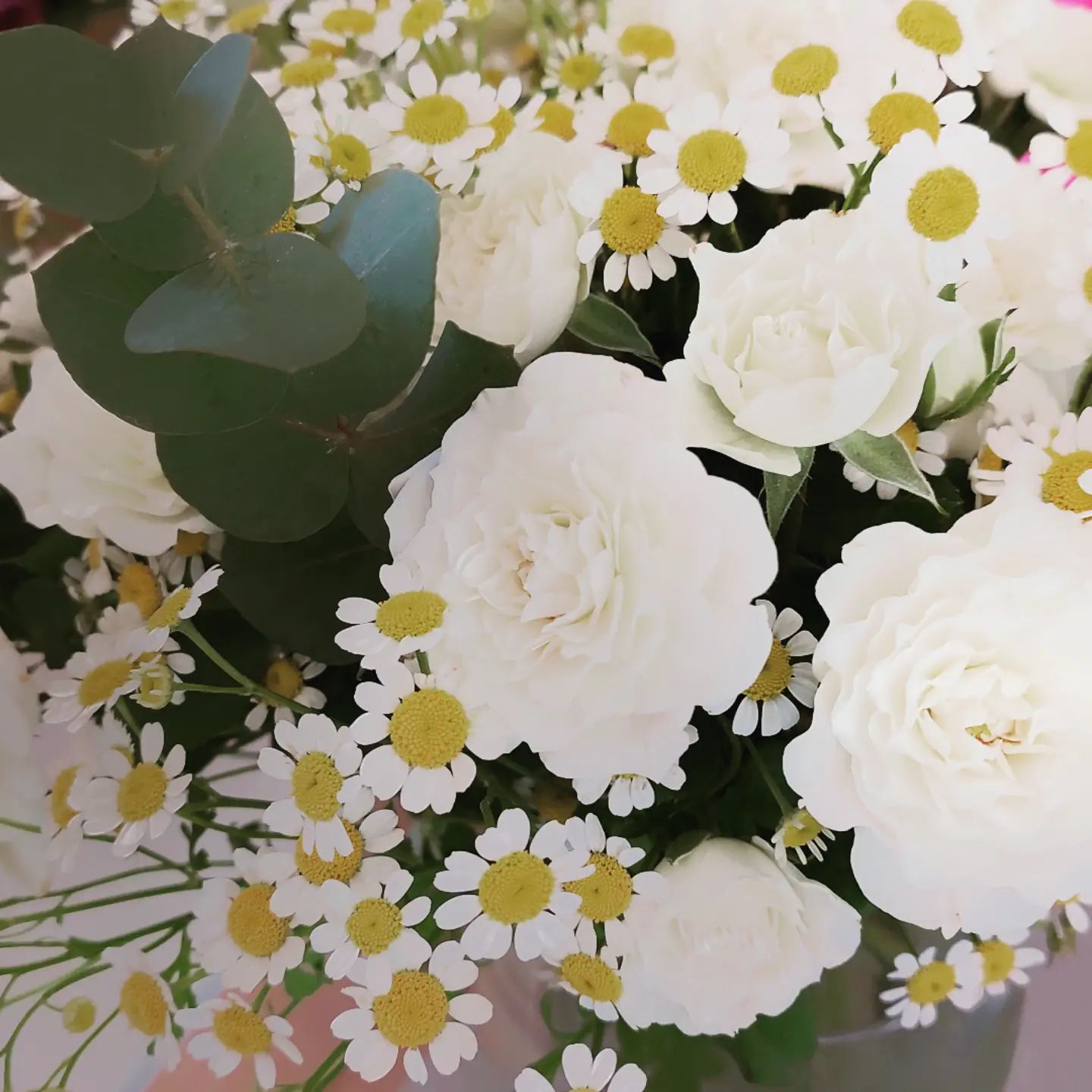 roses blanches et marguerite en bouquet