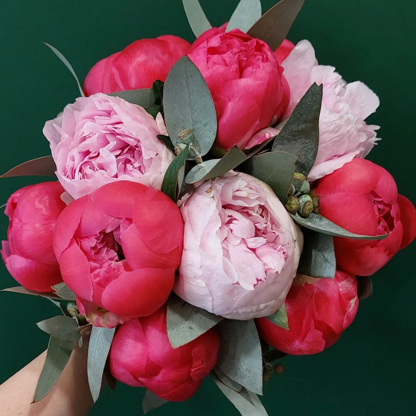 bouquet de pivoines rose