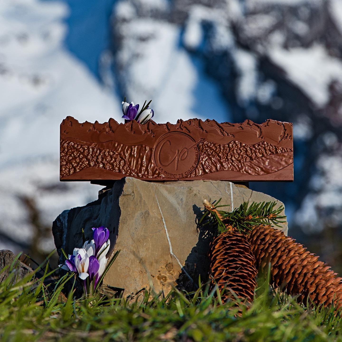 chocolat en fleur-trônes