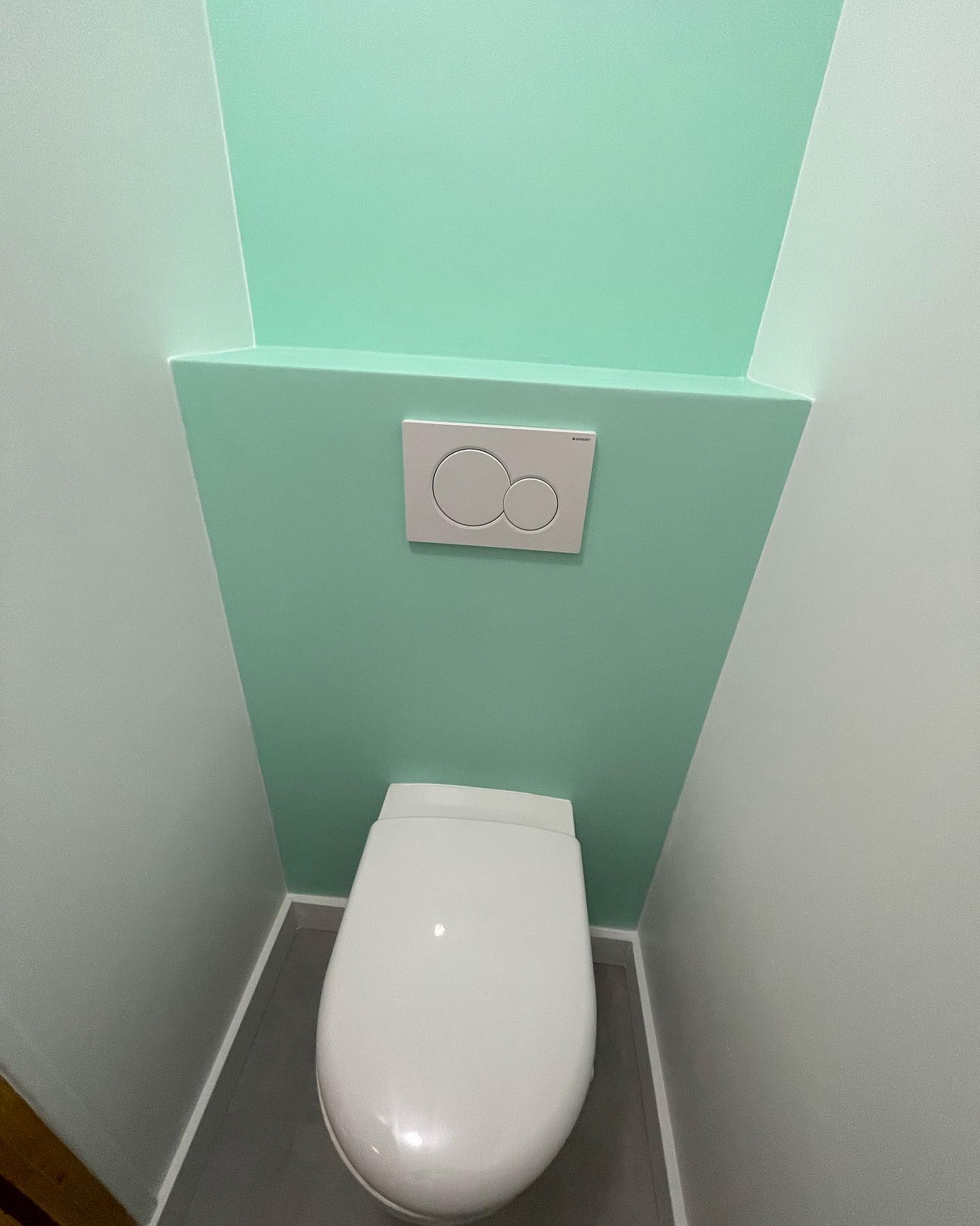 rénovation-toilette-saint-jorioz