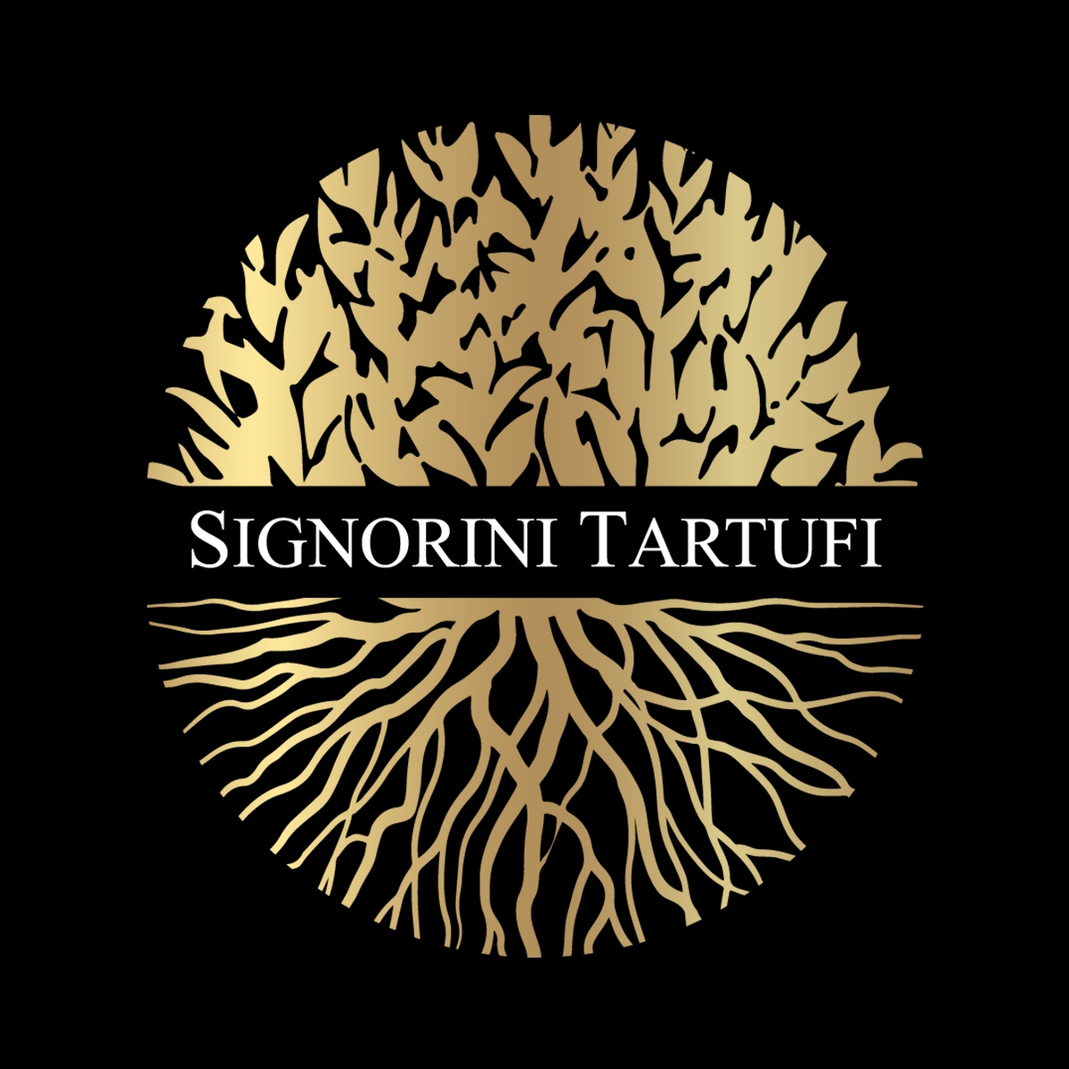 logo-signori-tartufi-annecy