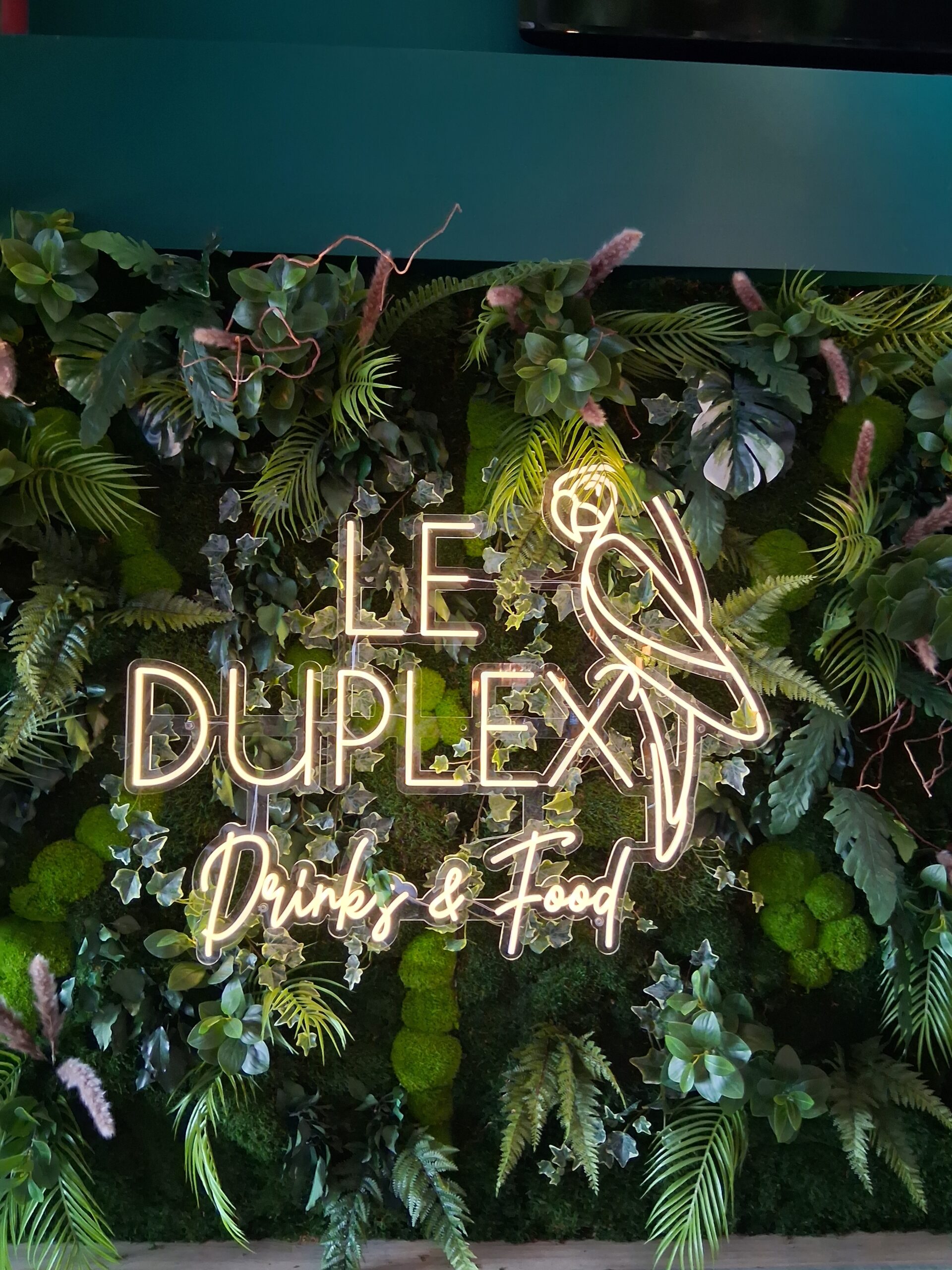 logo le duplex