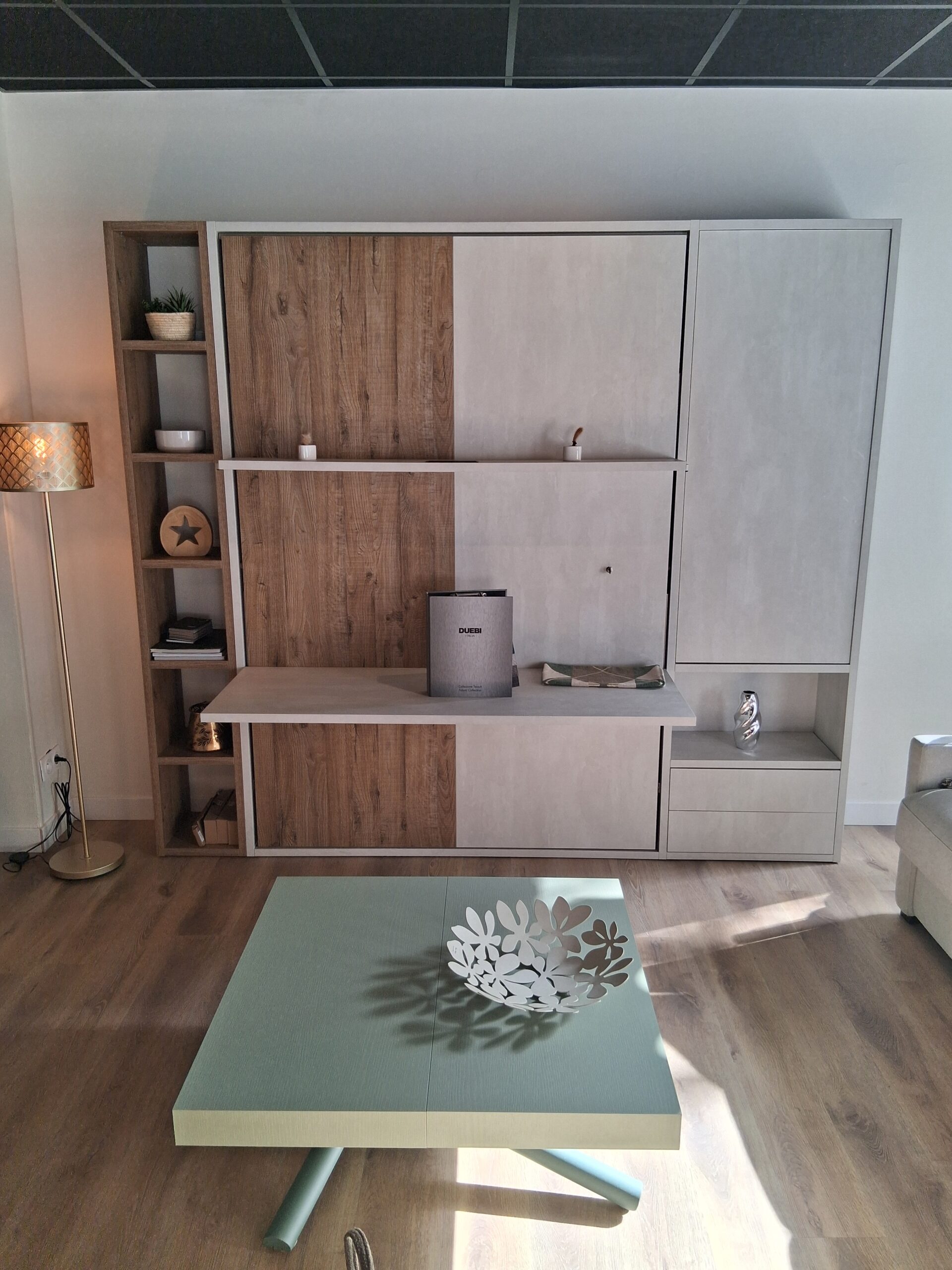 aménagement espace salon meythet